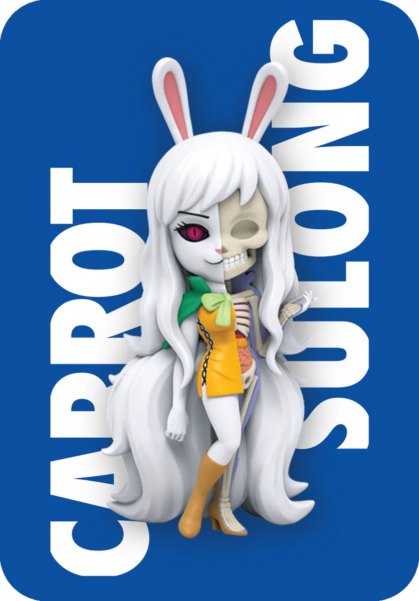 One Piece Hidden Dissectables Blind Box Series 5- Ladies Edition One Piece Hidden Dissectables Blind Box Series 5- Ladies Edition