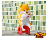 Tour Shiba blind box series