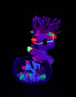 Neon Reef Mermicorno Blind Box