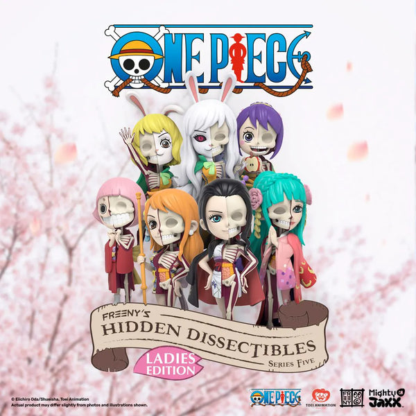 One Piece Hidden Dissectables Blind Box Series 5- Ladies Edition by Jason Freeny x Mighty Jaxx.