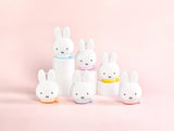 Miffy Silicone Bag Blind Box Series By Dick Bruna x Choco Teddy