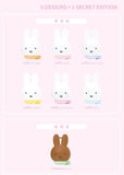 Miffy Silicone Bag Blind Box Series By Dick Bruna x Choco Teddy