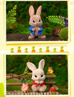 Peter Rabbit Vegetable Fairy Series (Opened Box)