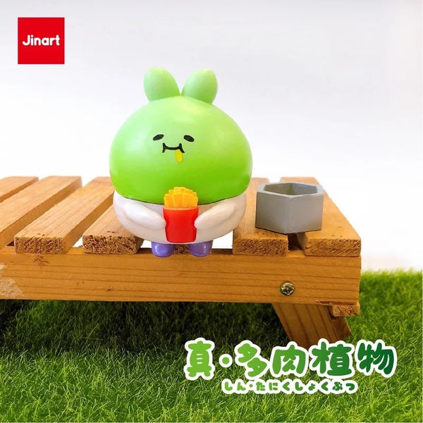 succulent blind box Succulent Plants by Jinart – Blind Box Empire